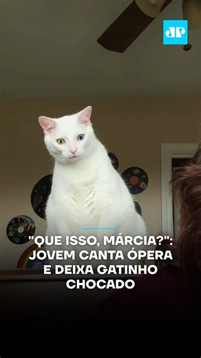 A jovem cantora Lexi Mank deixou seu gatinho chocado ao interpretar 'Think of Me', do musical 'O Fantasma da Ópera'. Lexi tem dois gatinhos, um deles branco com Heterocromia, variação genética que deixa um olho de uma cor e outro de outra, que ficou chocadíssimo ao ouvir as notas altas que a tutora conseguiu alcançar nesse clássico da Broadway. A reação do felino foi gravada por Lexi e viralizou nas redes sociais. O que será que passou na cabecinha dele? 🎥Reprodução: Instagram/leximank 📺 Confi