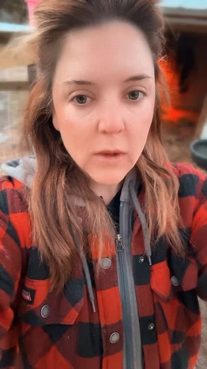 Recently, we’ve seen some online auctions with record-high prices for miniature and AHCA cattle. While these prices reflect strong market interest, they don’t always represent typical pricing trends. We remain steadfast in our commitment to fair pricing, basing our calves’ value on their genetics, conformation, disposition, and temperament. A tremendous amount of time and effort goes into producing genetically small miniatures with exceptional traits, and we take pride in offering livestock that