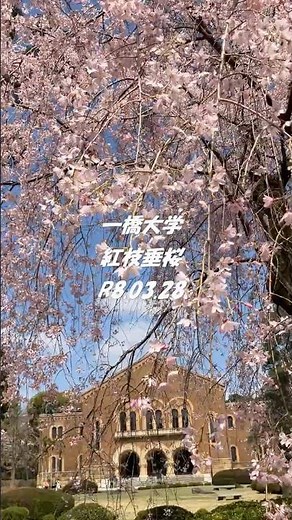 一橋大学 紅枝垂桜 080328 #国立市