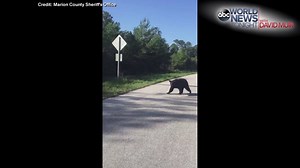 44K views · 353 reactions | FURRY ENCOUNTER: A deputy from the Marion...