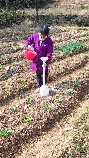 Revolutionize Your Farming: DIY Lime Spreader Self-made Tools Rural Life Planting Journey