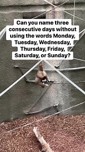 1.9M views · 2.4K reactions | Can you name three consecutive days without using the words Monday, Tuesday, Wednesday, Thursday, Friday, Saturday, or Sunday? #riddle #quizzes #viral #reels | Liz Ann | Facebook