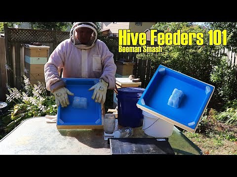 Hive Feeders 101 | What Hive Feeder Should You Use?