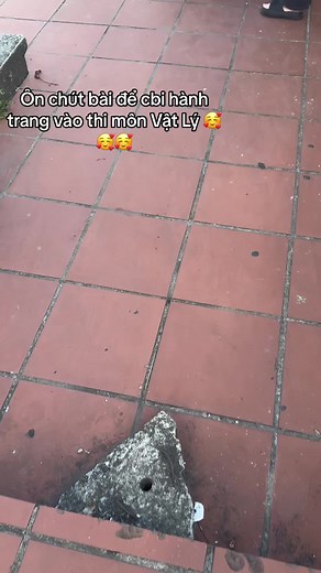 Các bạn đã học gì chưa????