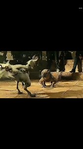 1M views · 1.9K reactions | Best movie on Netflix 2024 #fypシ #foryou #movieclips #movie #movies | Pappa Gaming | Facebook