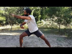 Baguazhang Snake Exercise Variation 2