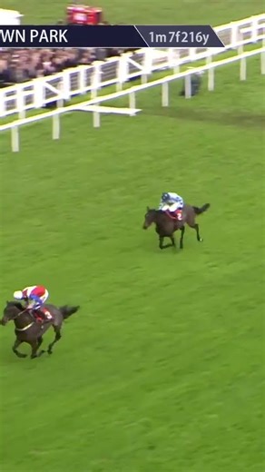 Impressive from Hurricane Pat at Sandown! #horse #horseracing #racingtv #sport