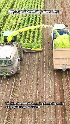 High-Speed Corn Silage Harvesting #innovation #farming #engineering