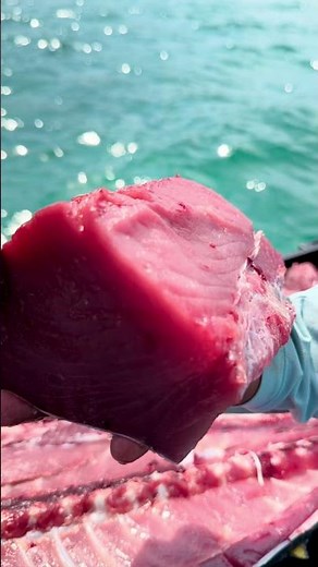 Epic Yellowfin Tuna Catch & Fresh Tuna Fillets | Cabo San Lucas Sportfishing 🎣🐟