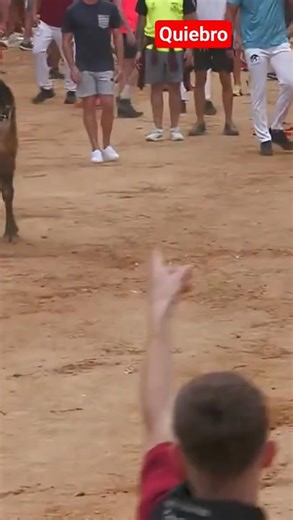 Toro Bravo Espectacular | Toros TV