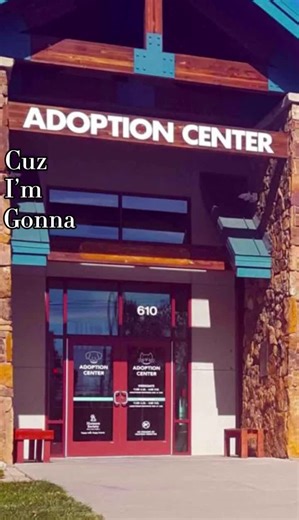 Muwop (@ayden.ortiz11)’s videos with original sound - sophia_dans13