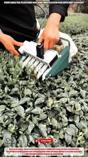 Best Portable Tea Plucking Machine Innovation for Efficient Harvest