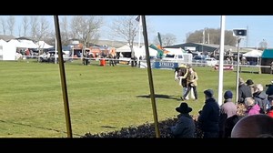 The National Shire Horse Show | Stable Express