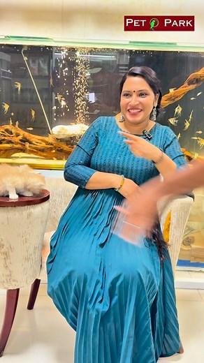 5.9K views · 61 reactions | Discover the perfect harmony of nature...