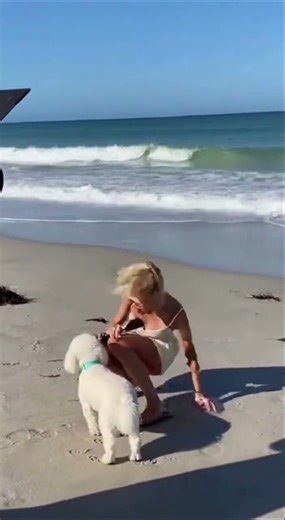 Reporter vs Wave: The Ultimate Beach Fail! 🌊😂 #Shorts