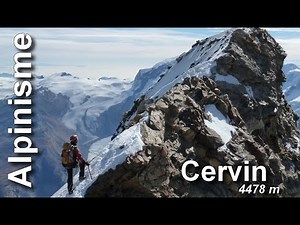 Cervin