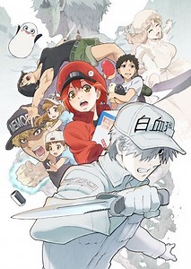 Cells at Work!! Episode 1 Online Free