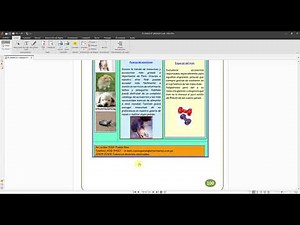 TUTORIAL DISEÑO PÁGINA WEB CON DREAMWEAVER