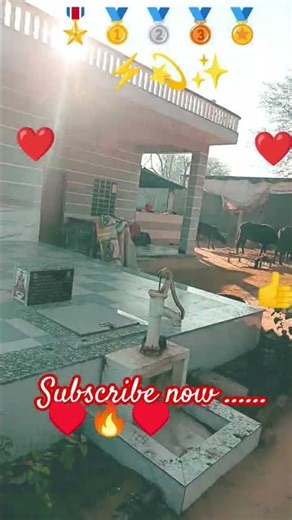 ♥️🌟#comedy #love #yt #viralreels #motivation #armylife #sscexam #motivational #ssc #ias #vlogs #vlog