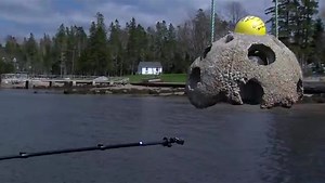 Team releases reef ball in Glen Haven, NS