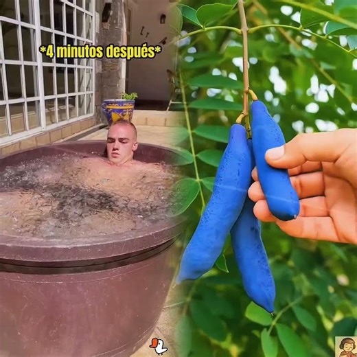 Me congelé 🥶🧊 #storytime