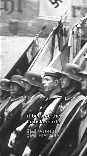 The Nazi Elite SS Unit That Swore Loyalty to Hitler #history #ww2 #warcriminals