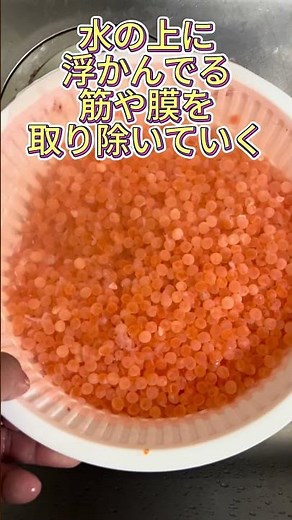 超簡単！1分でわかる！美味しいイクラ醤油漬けの作り方 #イクラの醤油漬け#アキアジ釣り#鮭釣り #釣り初心者 #釣りが好き #魚料理 #hokkaido #北海道名物
