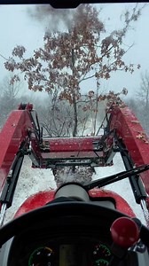 TRANSPLANTING TREES on this SNOWY DAY…we refuse to let the weather stop us from getting some farm projects done!! We have a very special place picked out for this beautiful RED OAK tree…if you visit the farm this season, you won’t be able to miss it️ | Red Oak Acres | Facebook