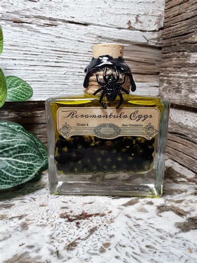 Acromantula Eggs | Color Changing Glass Magic Potion Bottle | Halloween Apothecary Decor | Creatures & Beasts | Wizard Prop Collectible - Etsy