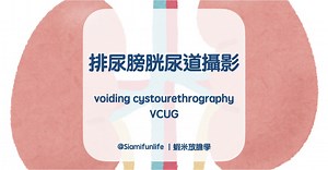 排尿膀胱尿道攝影｜膀胱輸尿管逆流｜診斷方式及影像判讀 - 蝦米放膽學