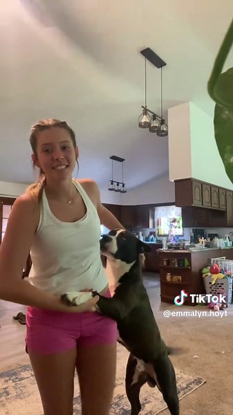 emmalyn🐬 (@emmalyn.hoyt)’s videos with original sound - ⭐️