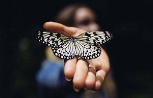 Take charge of your healing and learn what cancer survivors have in common. Learn the 9 Radical Remission healing factors shared by cancer survivors with Radical Remission teachers Kathryn Doherty and Tracy White. | Omega Institute