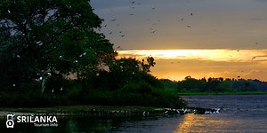 A Guide to the Bundala National Park - srilankatourisminfo.com