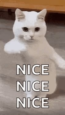 @Ultimate_Cris_ @CryptiaCurves @scrag_boy @AquaMelonscm95