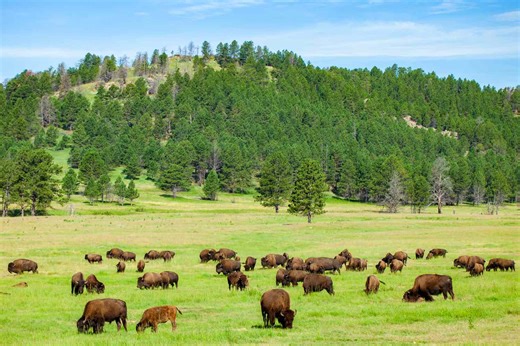 This Underrated U.S. National Park Has One of the Longest and Most Complex Caves in the World