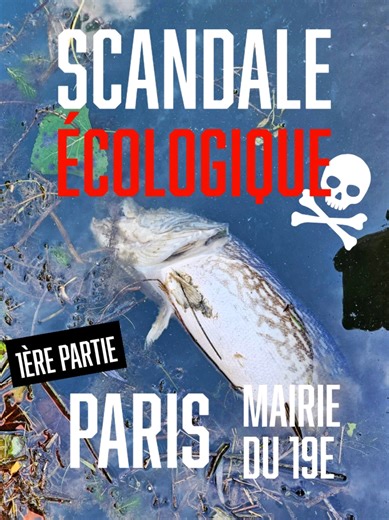 PARIS : La Mairie du 19e, ou comment détruire des espèces protégées tout en interdisant une compétition de pêche sous couvert de « bien-être animal et de protection de la faune » ! Nous vous disions que nous avions des révélations à faire concernant la mairie du 19e, se revendiquant « engagée dans le bien être animal et la protection de la faune », alors voici une première vidéo pour saisir tout leur dévouement envers le milieu aquatique et les espèces qui y vivent ! 🤔 Chèr.e.s électeurs et éle