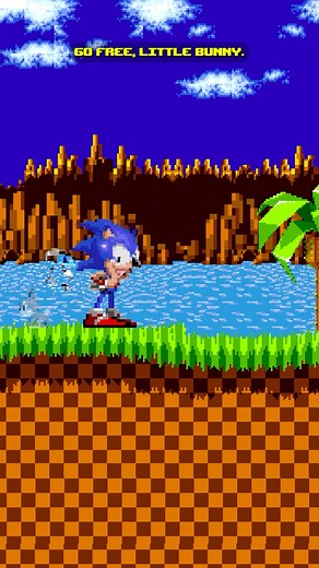 104K views · 536 reactions | Sonic The Hedgehog Vs A Bear #Sonic #SonicForHire #Parody #Tails #Fyp #fypシ #Foryou #sonicthehedgehog | Dorkly | Facebook