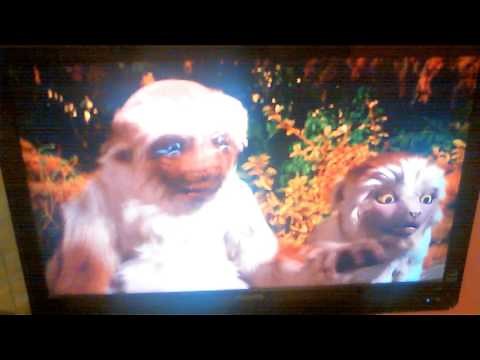 Johnathon's Questions about Disney's DINOSAUR Part 6