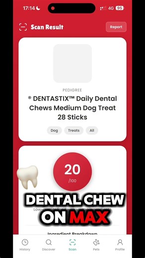 Dentastix Review: I Scanned The Ingredients (Shocking Result) 🛑 #shorts #dogfood #petcare #dogtips