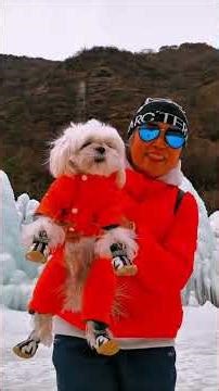 🌟“原来不用去北极，也能坠入冰川的梦”【#五老峰冰川大世界】❄️ 冬日限定！闯入现实版“冰雪奇缘”！万米冰瀑从天降，玉砌仙宫落人间✨阳光照进蓝冰瞬间，整座山都在发光💎脚下是晶莹冰河，...