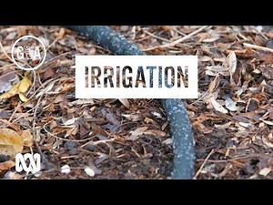Which irrigation system should I use? | Gardening Australia