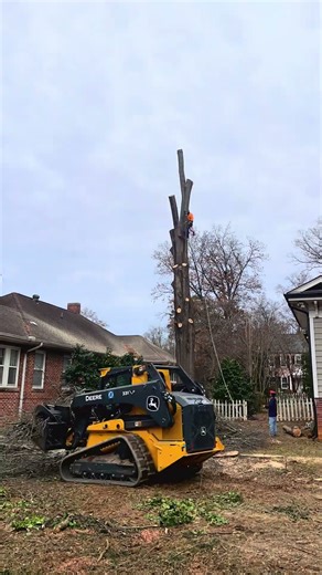 Monster Tree Removal in Salisbury, NC #fyp #trees #treeremoval #treecutting