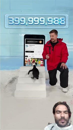 penguin to subscribe 😱 #comedy #mrbeast #funny