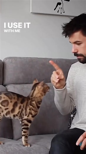 5.1K views · 70 reactions | I taught my cat to sit on command! Have you taught your cat any tricks? | outdoorbengal | Facebook