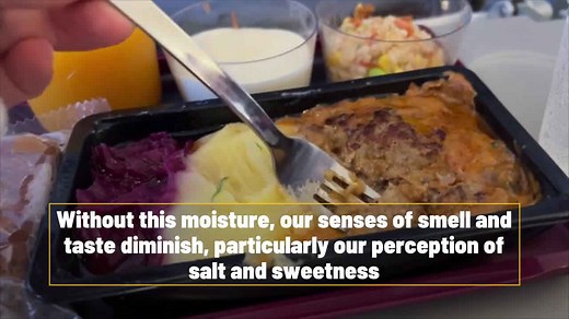 Why Do Your Taste Buds Change When You Fly?