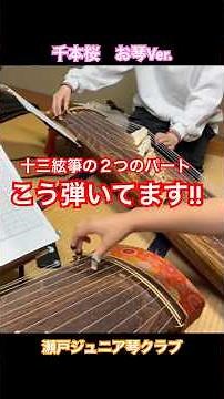 【千本桜】お琴Ver ２つのパート、こう弾いてます🤌 演奏→このん(一箏)＆ねね(ニ箏) #琴のまち福山