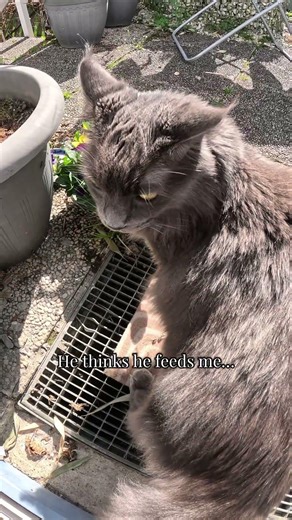 Service could be faster... #MannysVersion