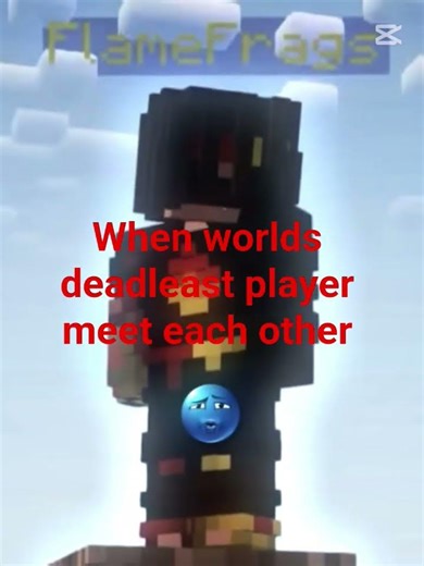 worlds best trio #flamefrags #minecraft #unstablesmp #clownpierce#pupled