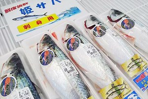 福岡県姫島のブランド・姫さば。おいしさの秘密と姫島の魅力！｜JF糸島