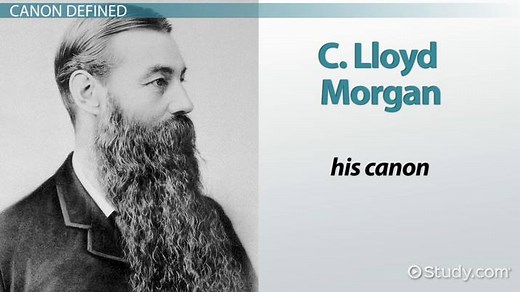 C. Lloyd Morgan's Canon: Facts, Misrepresentations & The Law of Parsimony